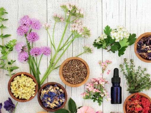 Plantas medicinales de Argentina
